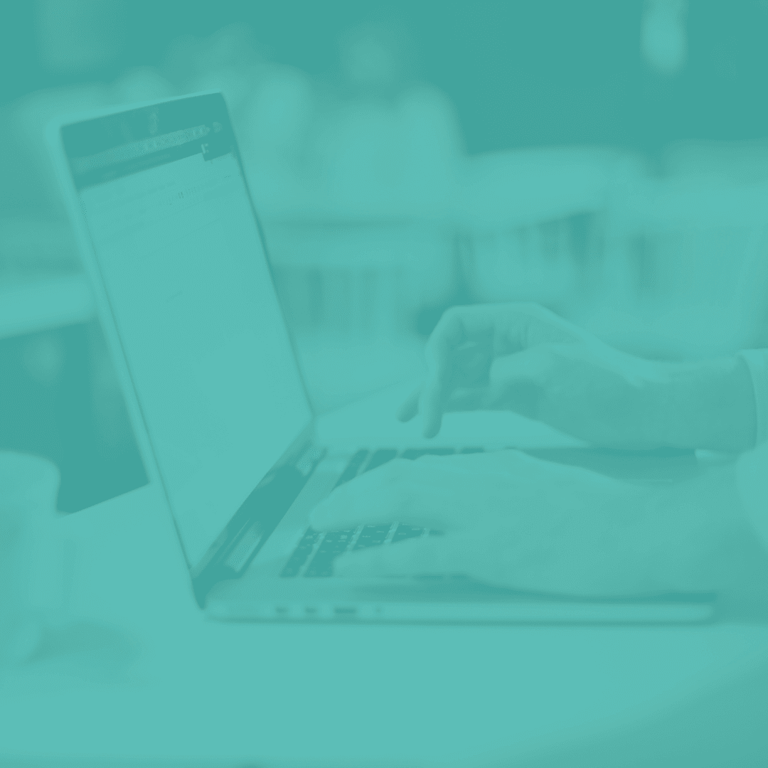 Quais as informações enviadas no e-mail diário?