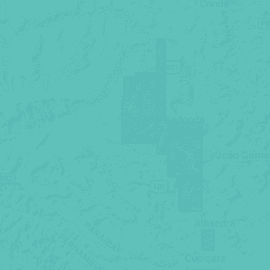 Como encontrar meus processos minerários de interesse no mapa?