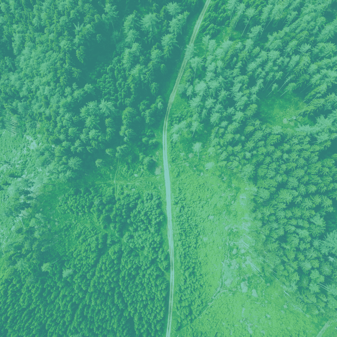 Mineração em Unidades de Conservação