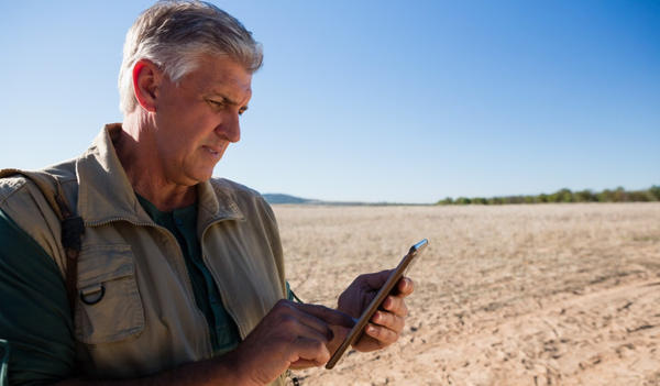 Como identificar áreas promissoras e reduzir riscos na prospecção mineral
