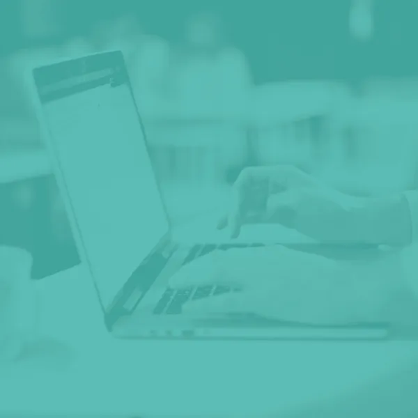 Quais as informações enviadas no e-mail diário?