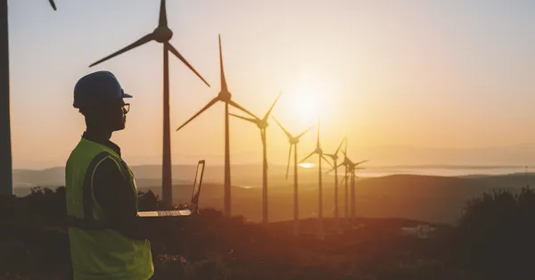 Explorando Novos Caminhos para a Transição Energética: O Papel dos Minerais Críticos no Brasil